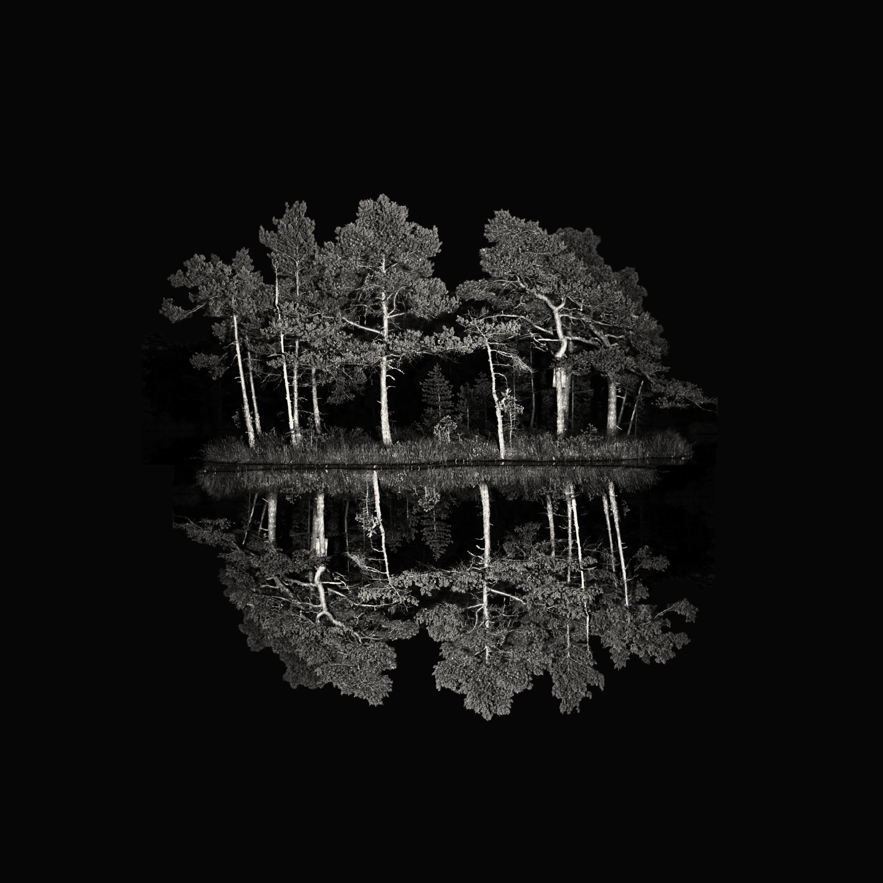 An Island | JOYLAND